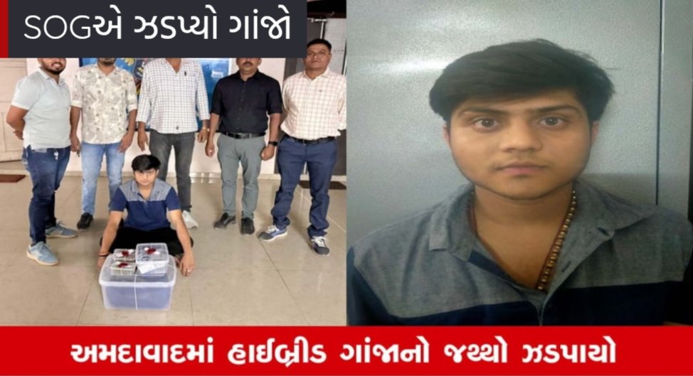 અમદાવાદ માં હાઈબ્રીડ ગાંજા સાથે ભાર્ગવ પટેલ ની કરાઈ ધડપકર, અન્ય એક આરોપી ફરાર 